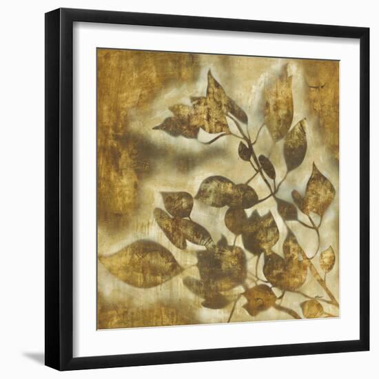 Organic Harmony II-Randy Hibberd-Framed Art Print