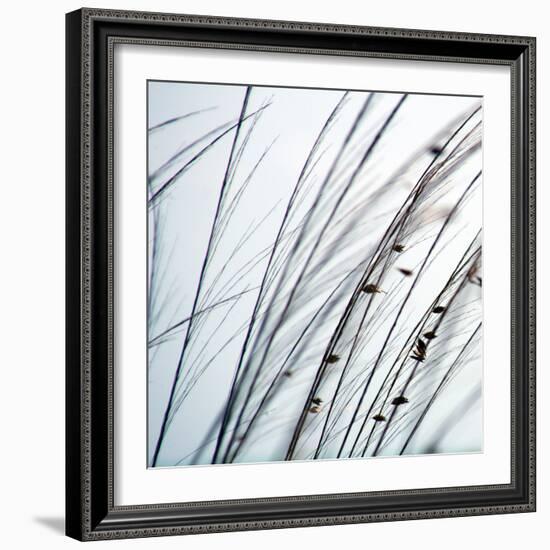 Organic I-Tony Koukos-Framed Giclee Print