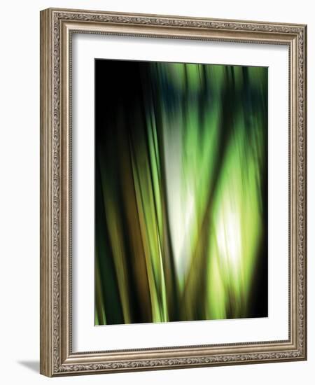 Organic I-Andrew Michaels-Framed Photographic Print