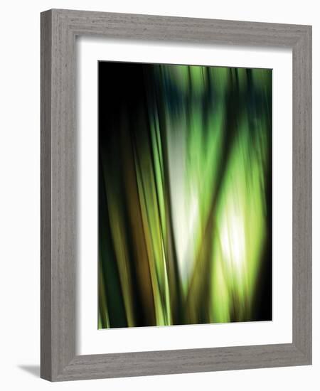 Organic I-Andrew Michaels-Framed Photographic Print