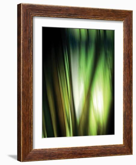 Organic I-Andrew Michaels-Framed Photographic Print