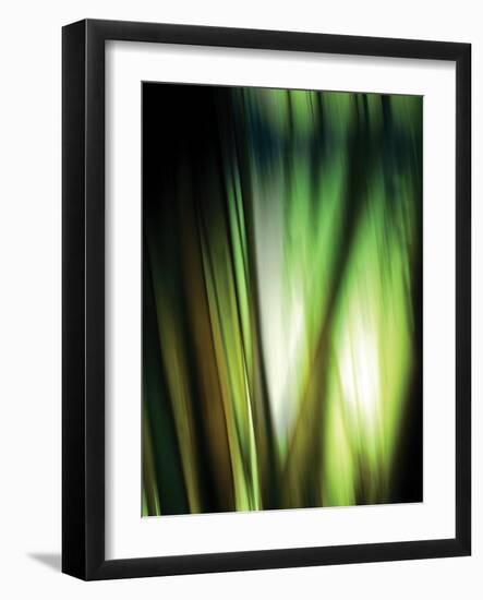 Organic I-Andrew Michaels-Framed Photographic Print