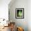 Organic I-Andrew Michaels-Framed Photographic Print displayed on a wall