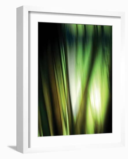 Organic I-Andrew Michaels-Framed Photographic Print