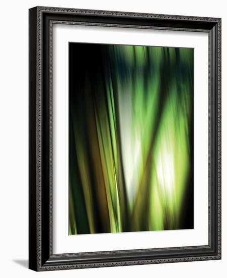Organic I-Andrew Michaels-Framed Photographic Print