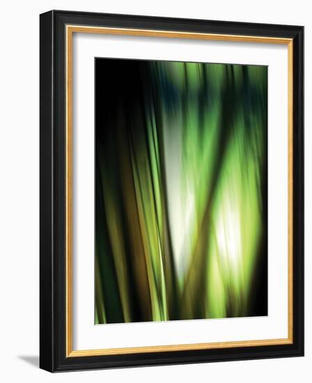 Organic I-Andrew Michaels-Framed Photographic Print