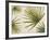 Organic I-Patricia Pinto-Framed Premium Giclee Print