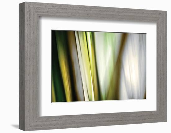 Organic II-Andrew Michaels-Framed Photographic Print