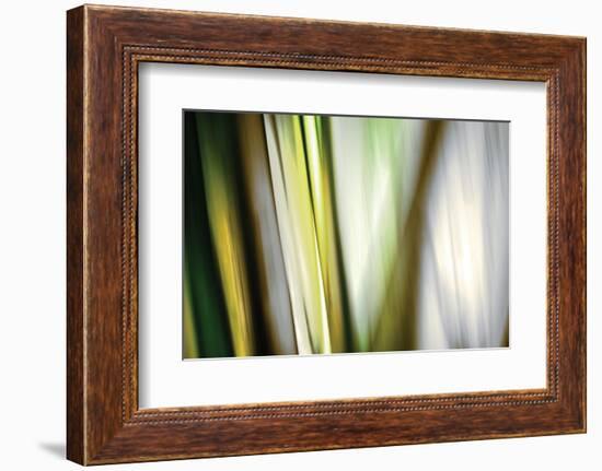 Organic II-Andrew Michaels-Framed Photographic Print