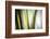 Organic II-Andrew Michaels-Framed Photographic Print