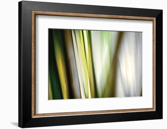 Organic II-Andrew Michaels-Framed Photographic Print