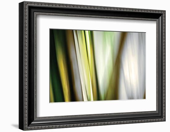 Organic II-Andrew Michaels-Framed Photographic Print