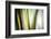 Organic II-Andrew Michaels-Framed Photographic Print