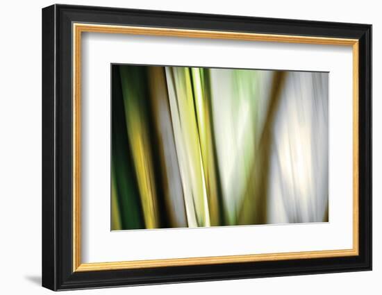 Organic II-Andrew Michaels-Framed Photographic Print