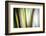 Organic II-Andrew Michaels-Framed Photographic Print