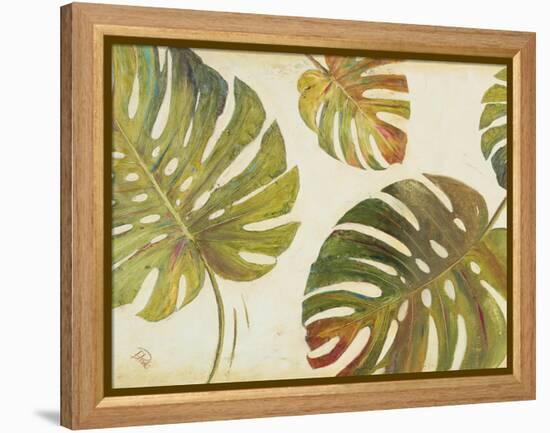 Organic II-Patricia Pinto-Framed Stretched Canvas