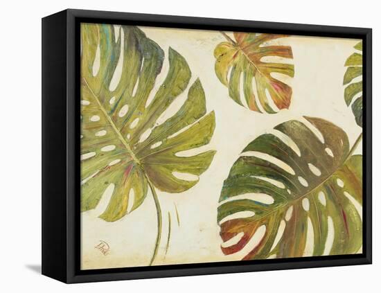 Organic II-Patricia Pinto-Framed Stretched Canvas