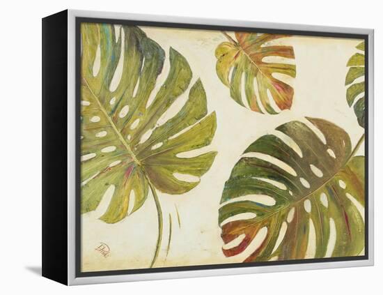 Organic II-Patricia Pinto-Framed Stretched Canvas