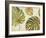 Organic II-Patricia Pinto-Framed Premium Giclee Print