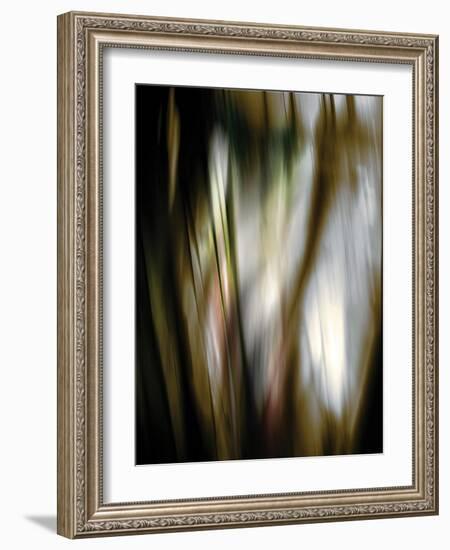 Organic III-Andrew Michaels-Framed Photographic Print