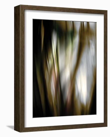 Organic III-Andrew Michaels-Framed Photographic Print