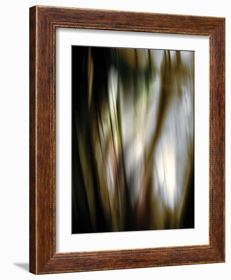 Organic III-Andrew Michaels-Framed Photographic Print