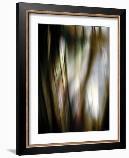 Organic III-Andrew Michaels-Framed Photographic Print