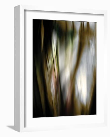 Organic III-Andrew Michaels-Framed Photographic Print