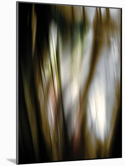 Organic III-Andrew Michaels-Mounted Photographic Print