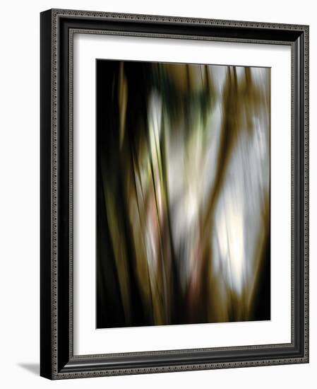 Organic III-Andrew Michaels-Framed Photographic Print