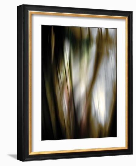 Organic III-Andrew Michaels-Framed Photographic Print