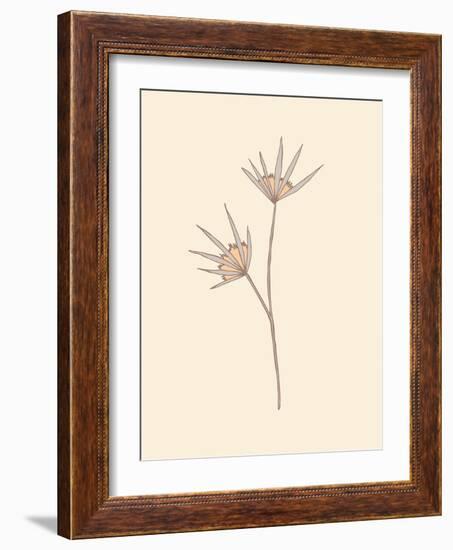Organic Inspiration Boho Flower 1-Sweet Melody Designs-Framed Art Print
