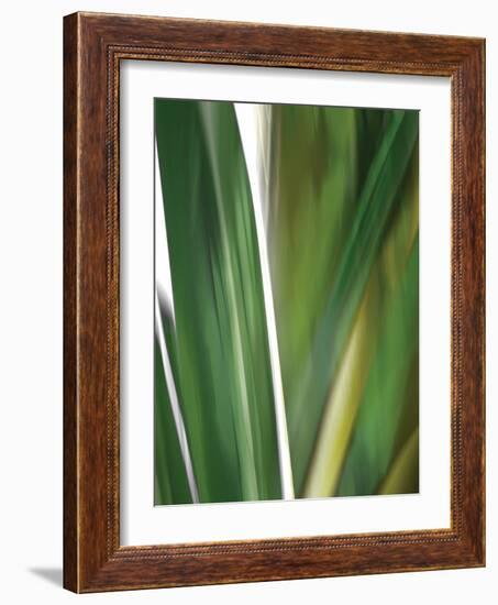 Organic IV-Andrew Michaels-Framed Photographic Print