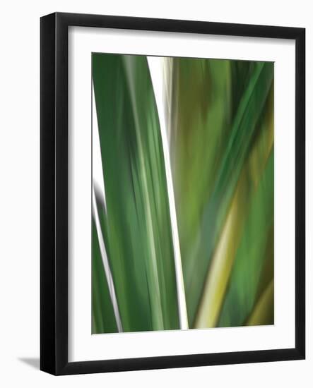 Organic IV-Andrew Michaels-Framed Photographic Print