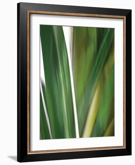 Organic IV-Andrew Michaels-Framed Photographic Print