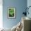 Organic Lettuce (Lactuca 'Salad Bowl')-Maxine Adcock-Framed Photographic Print displayed on a wall