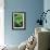 Organic Lettuce (Lactuca 'Salad Bowl')-Maxine Adcock-Framed Photographic Print displayed on a wall