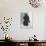 Organic Organisation-Maja Gunnarsdottir-Framed Stretched Canvas displayed on a wall