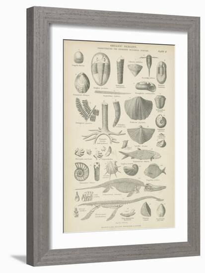 Organic Remains-null-Framed Giclee Print