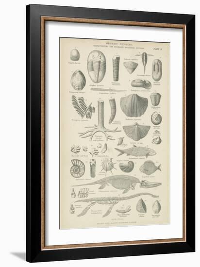 Organic Remains-null-Framed Giclee Print