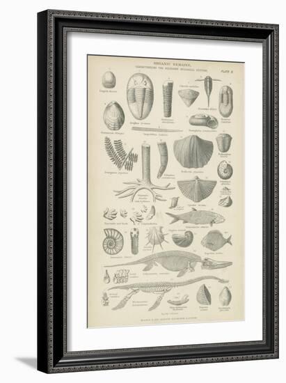 Organic Remains-null-Framed Giclee Print