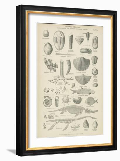 Organic Remains-null-Framed Giclee Print