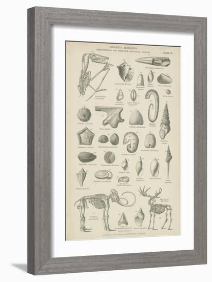 Organic Remains-null-Framed Giclee Print