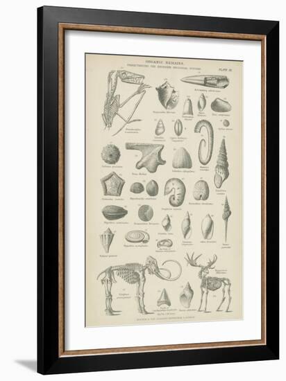 Organic Remains-null-Framed Giclee Print