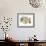 Organic Soup-Kim Johnson-Framed Giclee Print displayed on a wall