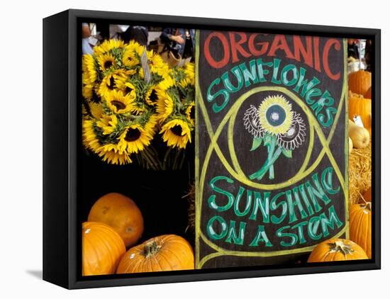 Organic Sunflowers and Pumpkins, Ferry Building Farmer's Market, San Francisco, California, USA-Inger Hogstrom-Framed Premier Image Canvas