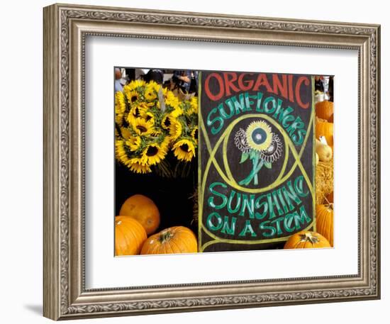 Organic Sunflowers and Pumpkins, Ferry Building Farmer's Market, San Francisco, California, USA-Inger Hogstrom-Framed Photographic Print