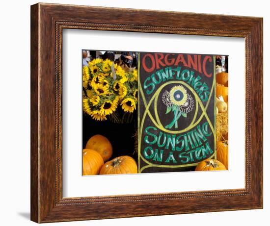 Organic Sunflowers and Pumpkins, Ferry Building Farmer's Market, San Francisco, California, USA-Inger Hogstrom-Framed Photographic Print