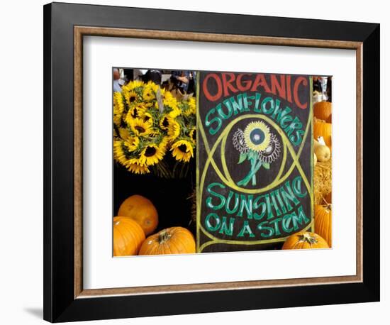 Organic Sunflowers and Pumpkins, Ferry Building Farmer's Market, San Francisco, California, USA-Inger Hogstrom-Framed Photographic Print