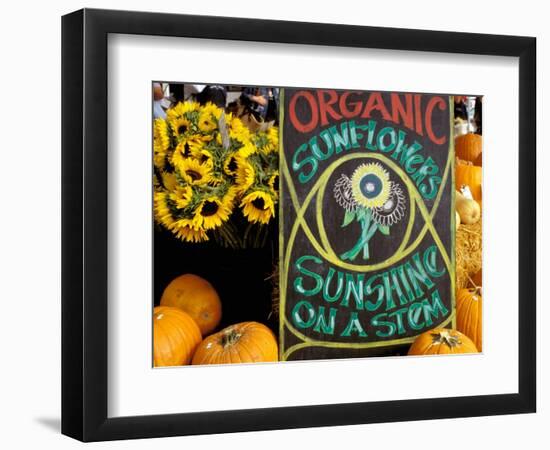 Organic Sunflowers and Pumpkins, Ferry Building Farmer's Market, San Francisco, California, USA-Inger Hogstrom-Framed Photographic Print